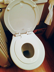 double toilet